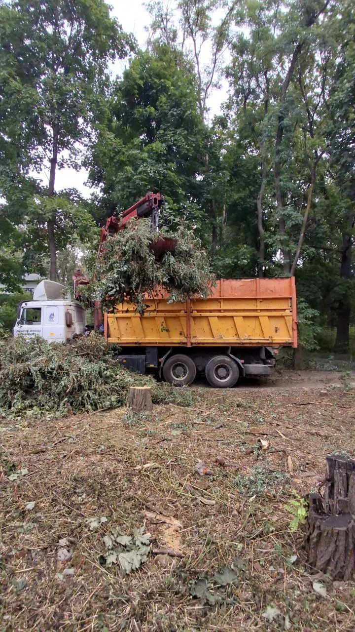 Вывоз леса из Харьковской области